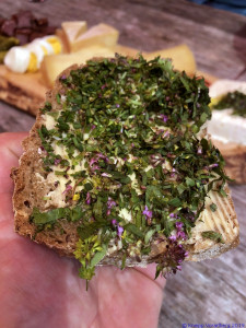 KAC Gaissau Kräuterwanderung 2019 06 29 14 14 16  4741